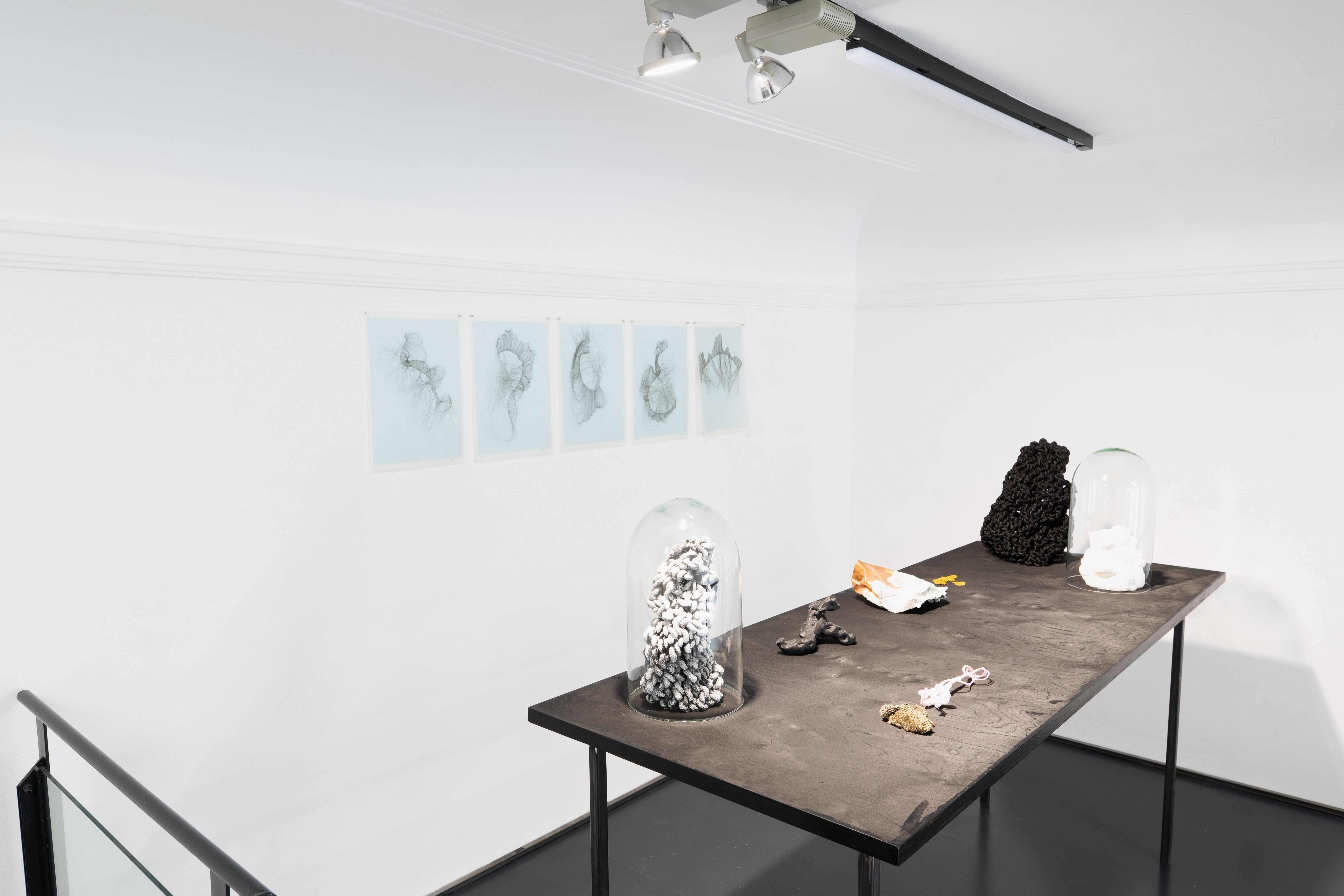 Installation View 11
