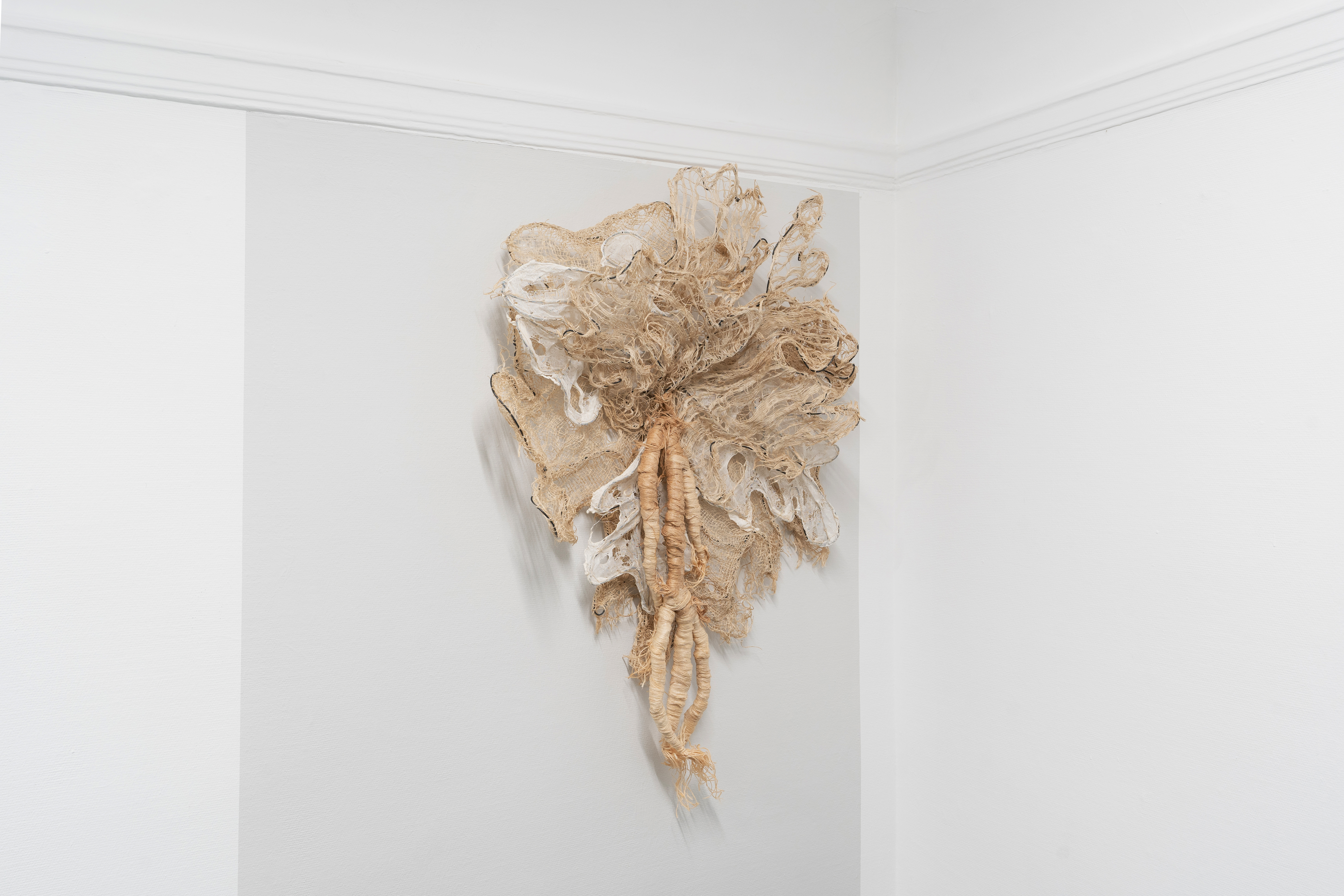 Installation View 6