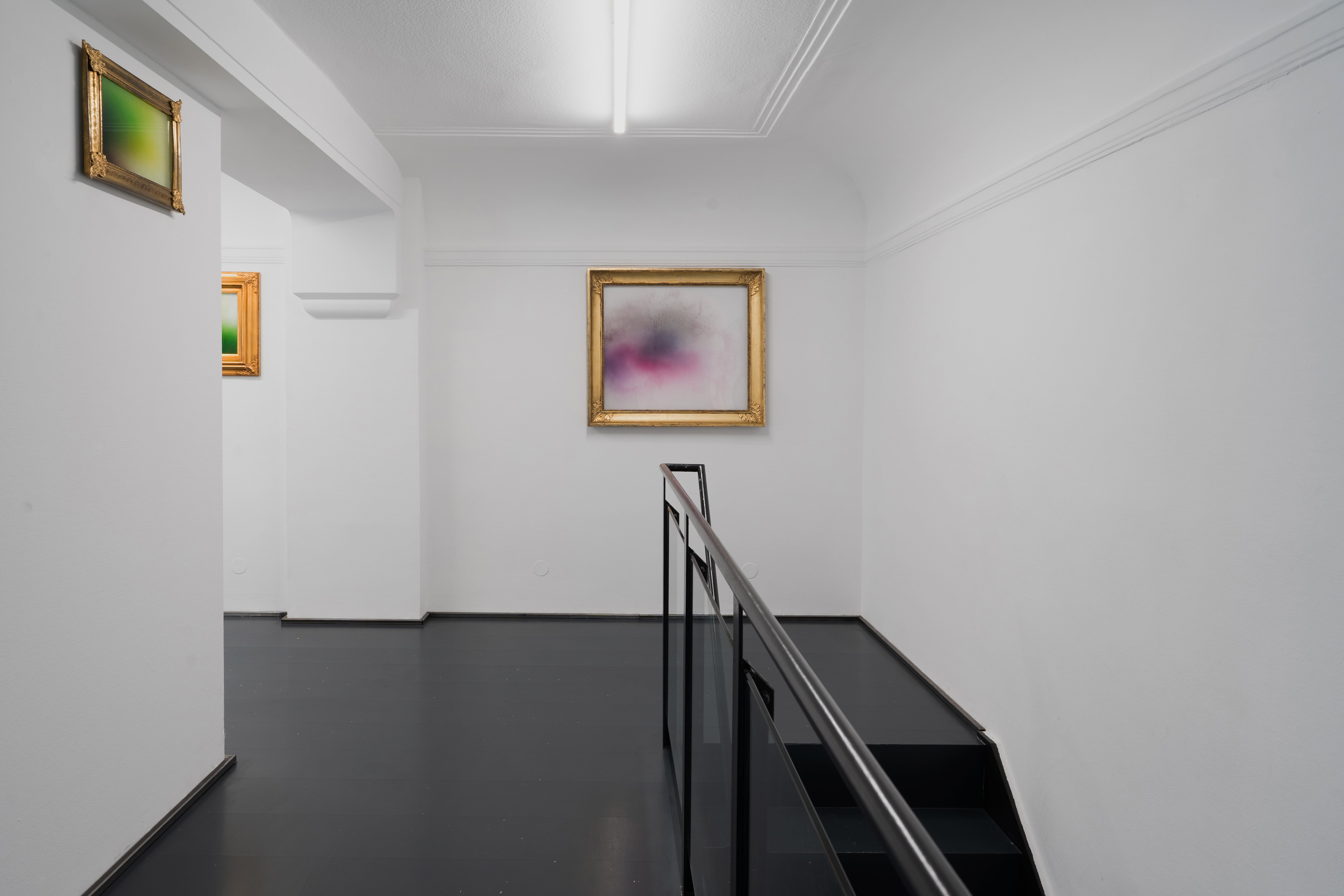 Installation View 8