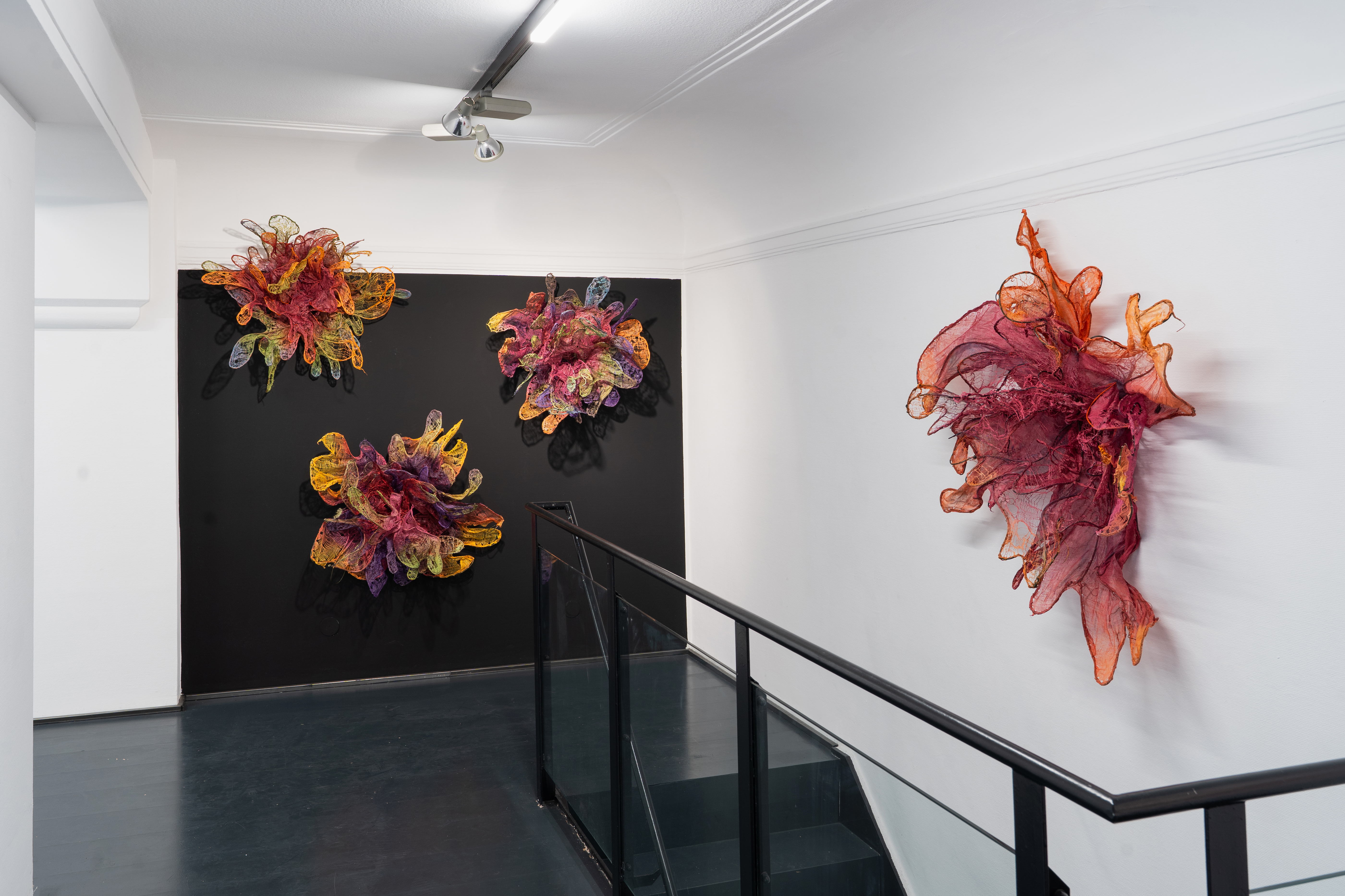 Installation View 7