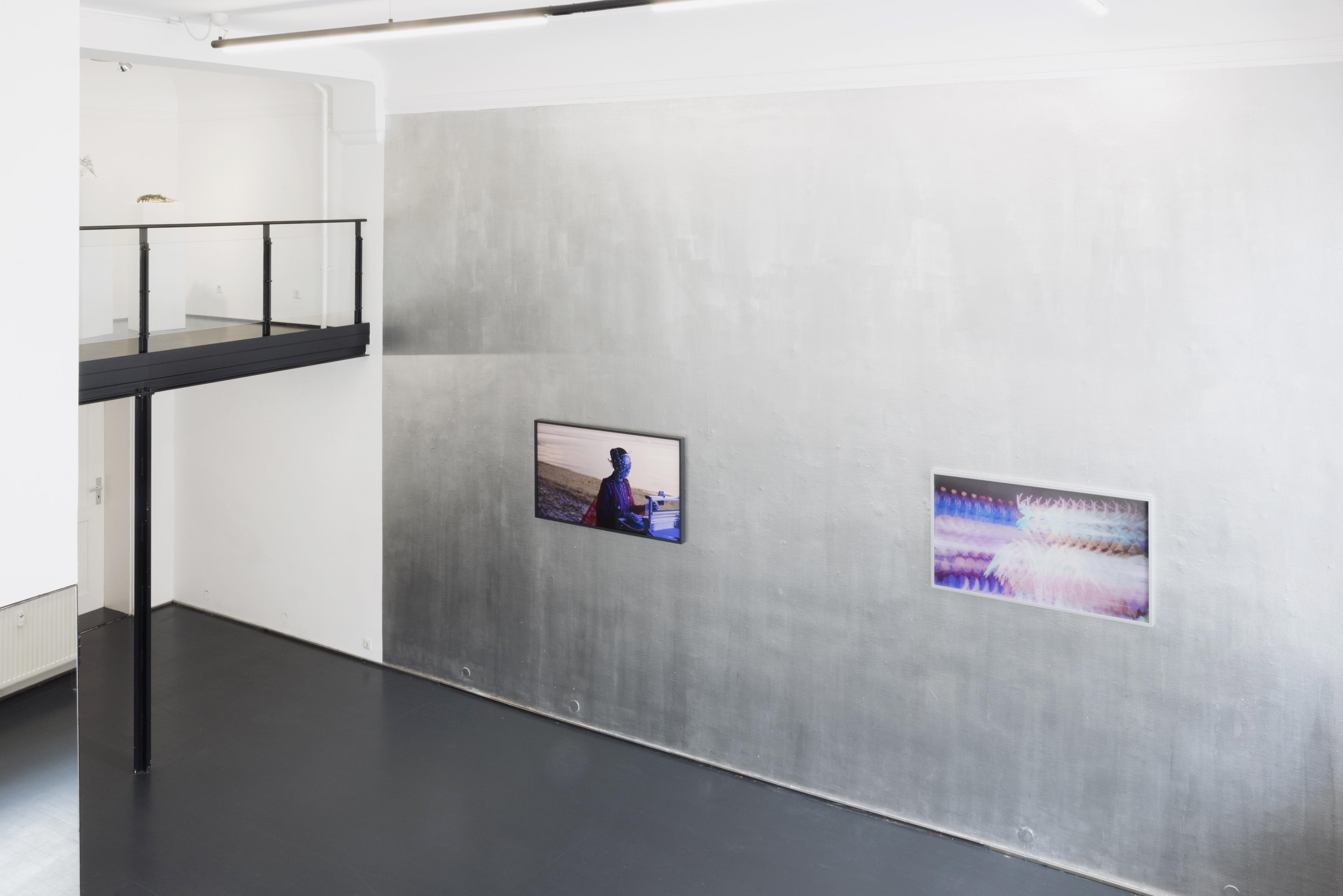 Installation View 12