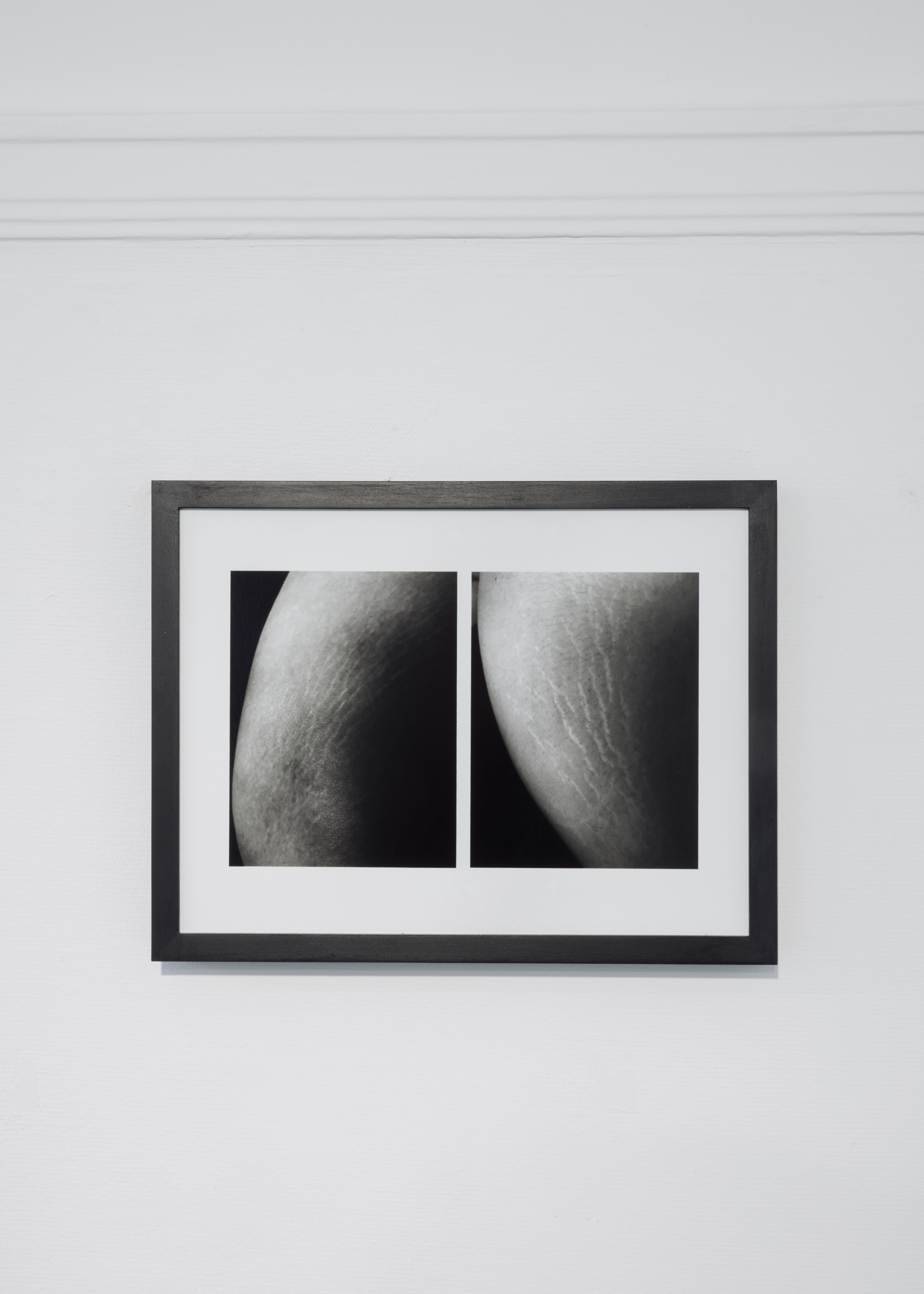Installation View 8
