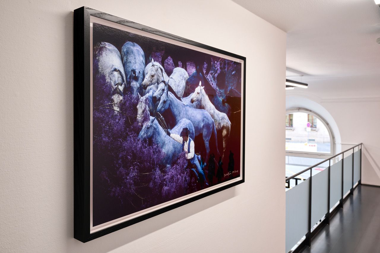 Installation View 7