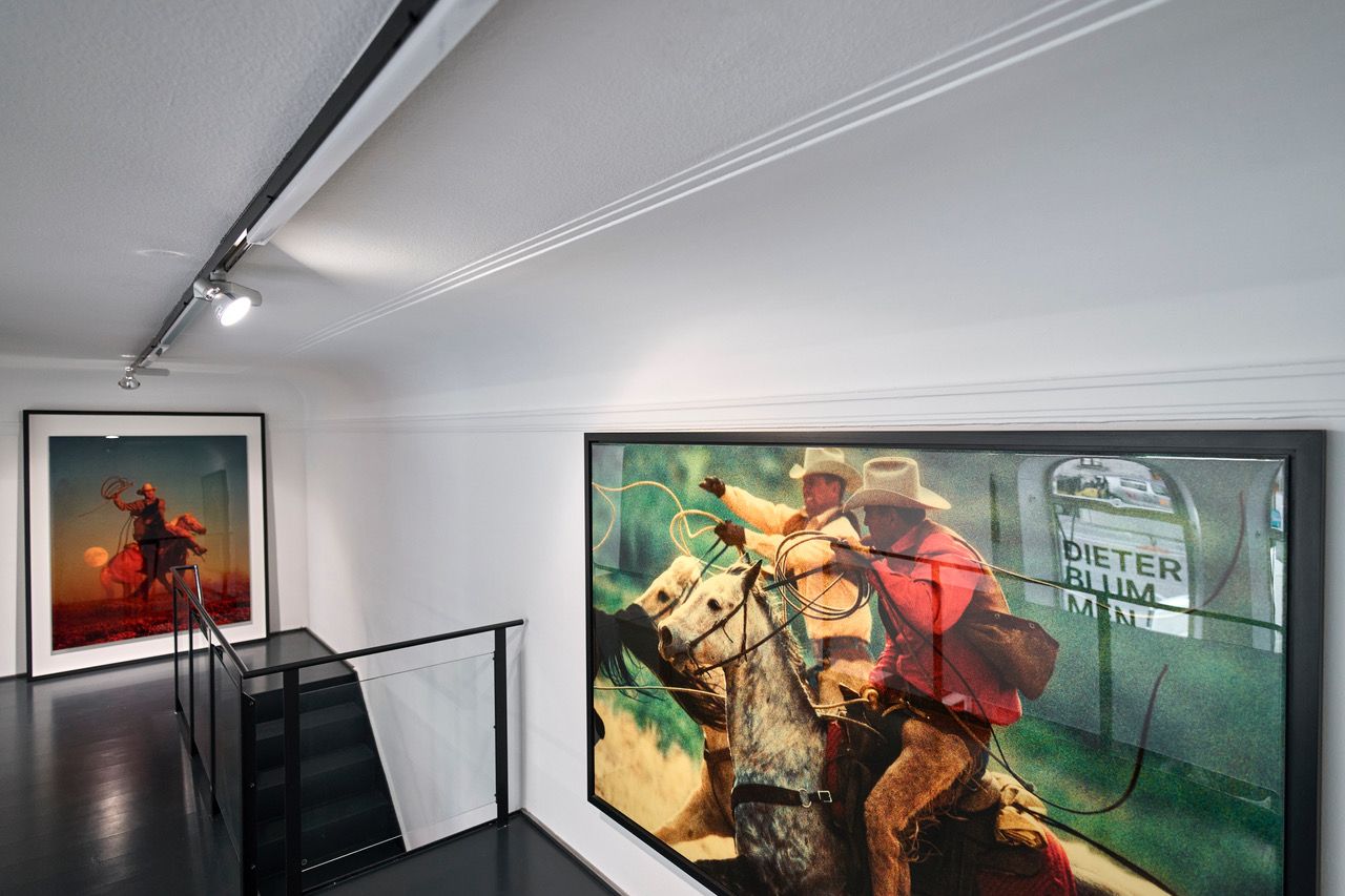 Installation View 5