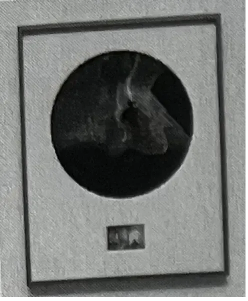 artwork view